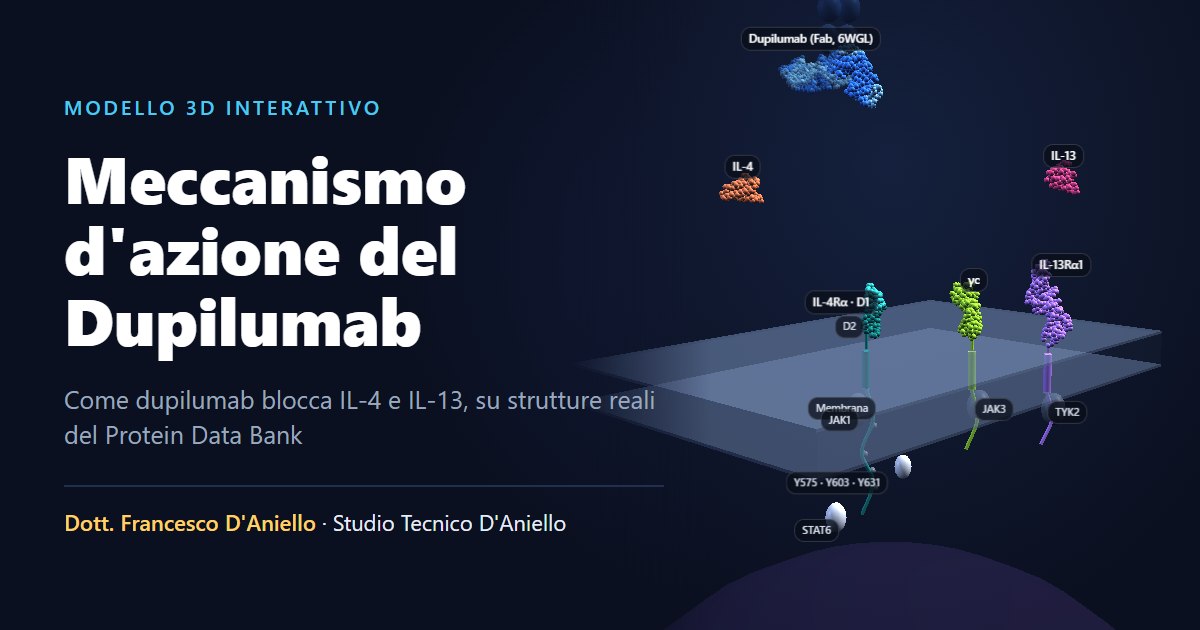 Modello 3D di dupilumab legato ai recettori di IL-4 e IL-13